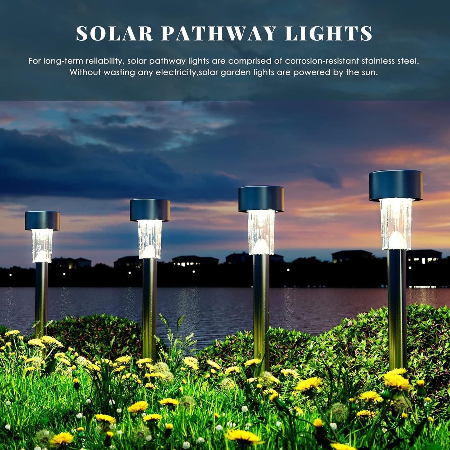 Elegant Solar Pathway Lights