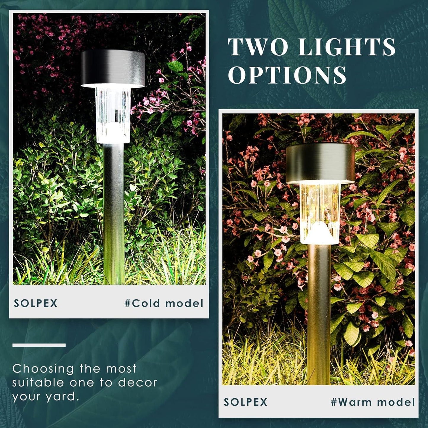 Elegant Solar Pathway Lights
