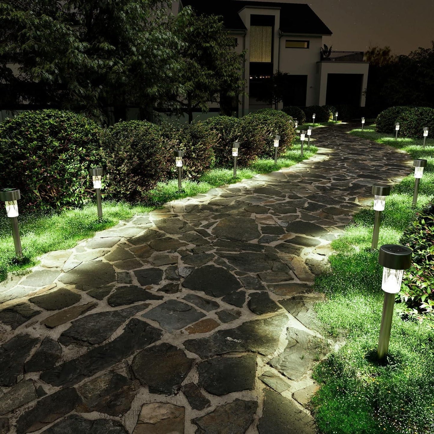 Elegant Solar Pathway Lights