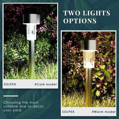 Elegant Solar Pathway Lights